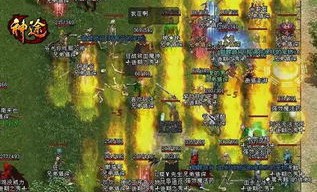 斗皇传奇私服在恶魔祭坛划算别只盯着BOSS
