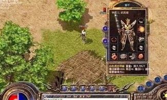 传奇sf外挂下载_游戏攻略必备的秘密武器？”