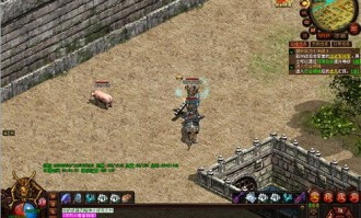 新开变态传世私服：无尽的探险与无尽的经济