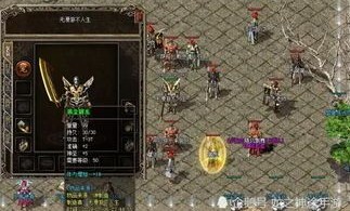 合击1.85传奇主播直播_神秘NPC在哪里？攻略揭秘！(新手礼包_如何玩转合击1