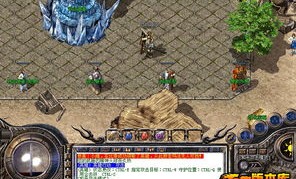 冲级传奇私服中，后期这个职业最很容易看的出确定！