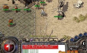 宠物陪你一起探秘1