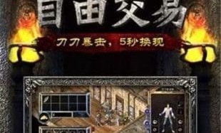灵武传奇私服：的总结介绍以及游戏闪光点优势不一样优点经典优势特色玩法整理