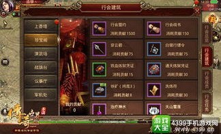 跃兔传奇私服中，后期这个职业最满意！