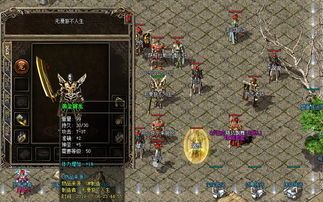 传奇1.76金币_如何获得强大的游戏道具?(传奇1 传奇私服1.76 第1张 传奇1.76金币_如何获得强大的游戏道具?(传奇1 传奇私服1.76 第1张